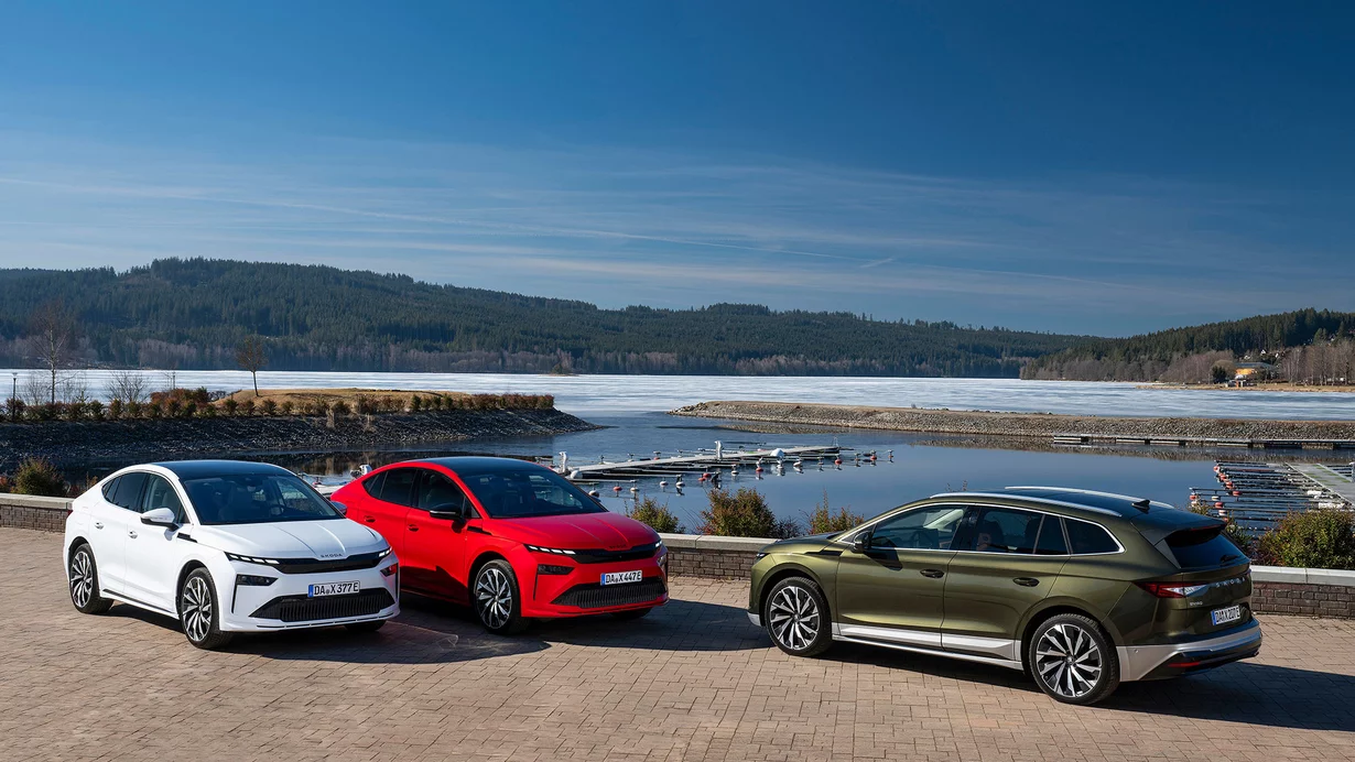 
										Ce qui freine le marché suisse des voitures neuves
									